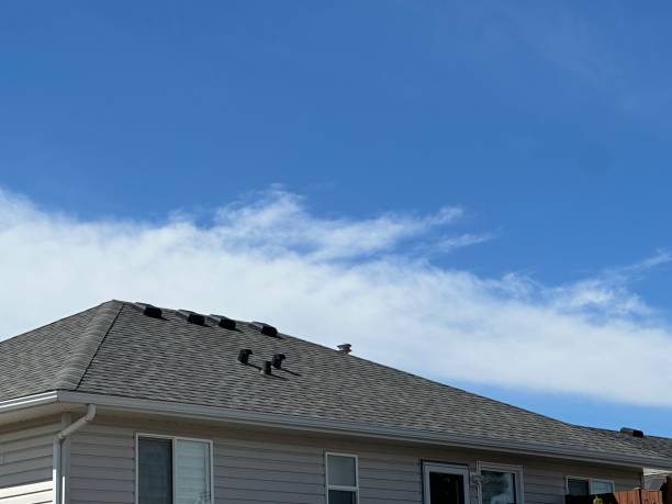 Best Gutter Installation and Repair  in Reynolds Heights, PA